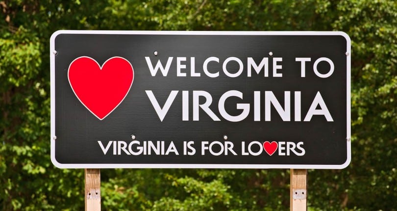 All About Virginia